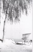 ca 1940 Művészfotók 8 db negatív csík változatos témákkal