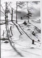 ca 1940 Művészfotók 8 db negatív csík változatos témákkal