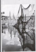 ca 1940 Művészfotók 8 db negatív csík változatos témákkal