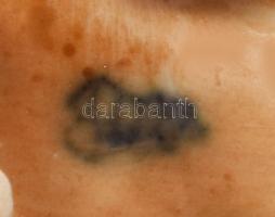 Óherendi malac figura, jelzett, kézzel festett, h: 6 cm