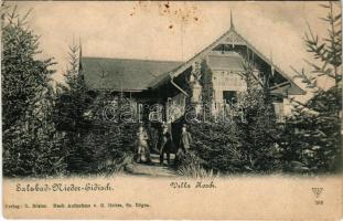 Alsóidecs, Alsó-Idecs, Idecs, Eidisch, Ideciu de Jos; Salzbad-Nieder-Eidisch. Villa Kosch. Verlag G. Rösler. Nach Aufnahme v. G. Heiter (tűnyom / pinmark)