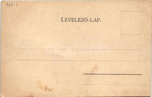 Alsóidecs, Alsó-Idecs, Idecs, Eidisch, Ideciu de Jos; Salzbad-Nieder-Eidisch. Villa Kosch. Verlag G....