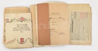 1906-36 Mészáros Ödön iskolaigazgató (1887-1965) (később parlamenti képviselő, később a győri 1956-os értelmiségi per egyik vádlottja volt)tanári pályafutásának története Halmitól - Sárvárig 1906-1936 között.A több száz iratban megtalálható többek között Klebesberg Kunó ill. Zichy János miniszterek autográf aláírt kinevezési okiratai, Tanítói díjlevél a főispán aláírásával, valamint a sárvári főrabbi levele.