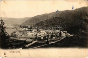 Nándorhuta, Nová Masa (Nándorvölgy, Valkovna); látkép, vasgyár / general view, iron factory (EM)