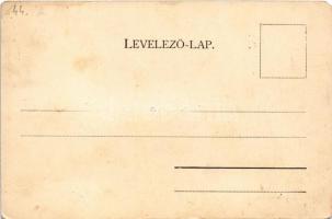 Nándorhuta, Nová Masa (Nándorvölgy, Valkovna); látkép, vasgyár / general view, iron factory (EM)