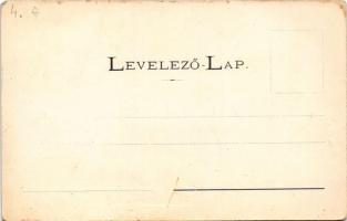 Balassagyarmat, Balassa-Gyarmat; Fő utca, Balassa szálloda és kávéház, Hirschfeld J. Jenő üzlete. Ha...