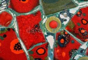 Bukrán Edit (1957-): Pipacsos táj. Mázas festett gipsz fali dísz, Jelzett 40x50 cm 

Csak személye...