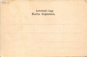 Verőce, Virovitica; Zupanjska bolnica. Braca Reitter / Comitats-Krankenhaus / vármegyei kórház / cou...