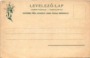 Lőcsefüred, Lőcse-fürdő, Levocské Kúpele (Lőcse, Levoca); Fürdőház, nyaraló. Feitzinger Ede 1902/12....