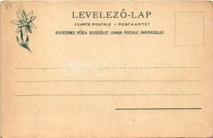 Szepesbéla, Szepes-Béla, Spisská Belá (Szepes, Zips); Fő tér, Gyógyszertár, üzletek. Feitzinger Ede ...