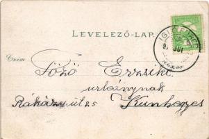 Iglófüred, Bad Zipser Neudorf, Spisská Nová Ves Kupele, Novovesské Kúpele; fürdő látképe. Wlaszlovit...