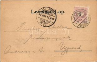 1899 Karánsebes, Caransebes; Hotel zum grünen Baum, Post, Isr. Tempel u. Umgebung, H. Rosenfelds Ges...