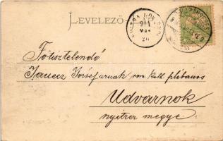 1904 Karánsebes, Caransebes; Ferenc Nándor tér, gyógyszertár / square, pharmacy (EK)