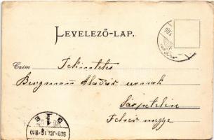 1903 Kaposvár, Megyeháza (gyűrődések / creases)