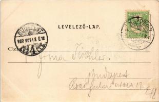 1902 Kaposvár, Erzsébet tér, templom, piac, Kovács Jónás, Török Mór üzlete. Hagelmann Károly kiadása...