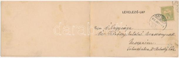 1903 Kaposvár, Erzsébet szálloda, Vajda Pál üzlete. 2-részes kihajtható panorámalap. Gerő Zsigmond k...