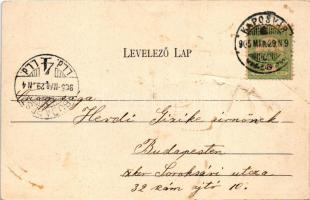 1905 Kaposvár, látkép, városi villanytelep, vasútállomás, vonat, gőzmozdony. Gerő Zsigmond kiadása (...