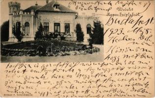 1923 Kiskorpád, Kaposszéplak puszta, Makfalvay Géza kastélya. Klökner P. kiadása (EK)