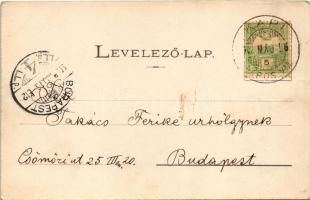 1903 Kapi, Kapusany; várrom, lovaskocsi a fahídon. Fénynyomat Divald műintézetéből / Kapusiansky hra...