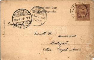 1901 Kamanc, Kamenitz, Sremska Kamenice (Újvidék, Novi Sad); K.u.K. Infanterie-Cadettenschule, Kaste...