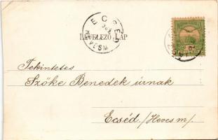 1904 Jászapáti, Római katolikus templom, belső. Takáts Herman kiadása (vágott / cut)