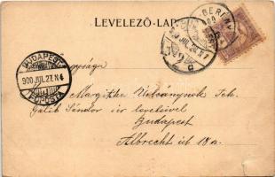 1900 Jászberény, Bathó nyaraló. Brünauer Adolf kiadása 4103. (szakadás / tear)