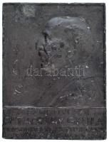 Kun József (1879-1946) 1913. "Mezőkövesdi Dr. Tarnay Gyula - Borsod megye és Miskolcz város Főispánja" egyoldalas fehérfém plakett (54x70mm) T:VF, ütődés, ph.