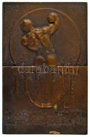 Sződy Szilárd (1878-1939) 1913. "1913. VIII. 31. - Diósgyőr-Vasgyári Propaganda Verseny" egyoldalas bronz díjplakett (46x70mm) T:XF, karc