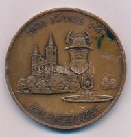 Fritz Mihály (1947-) 1992. "XIII. Országos Tűzoltóverseny / 1992. július 1-4. Zalaegerszeg" kétoldalas bronz emlékérem (61,5mm) T:VF, ütődés, karc, ph.