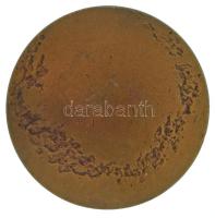 Reményi József (1887-1977) 1976. "Országos Korányi TBC és Pulmonológiai Intézet - 1901-1976&quo...