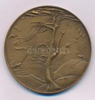 Kiss Nagy András (1930-1997) DN "Csontváry Tivadar / Magányos cédrus" kétoldalas bronz eml...