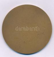 DN "Szent László - Budapest" egyoldalas bronz emlékérem (60mm) T:AU, pici ph