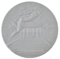 Német Demokratikus Köztársaság 1982. "100 Jahre Staatliches Museum Schwerin (A Schwerini Állami Múzeum 100 éve)" kétoldalas kerámia emlékérem a Meisseni Porcelánmanufaktúra gyártói jelzésével (64mm) T:UNC German Democratic Republic 1982. "100 Jahre Staatliches Museum Schwerin (100 years of the Schwerin State Museum)" double-sided ceramic medallion with Porcelain Manufactory of Meissen's maker's mark (64mm) C:UNC