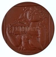 Német Demokratikus Köztársaság 1982. "100 Jahre Staatliches Museum Schwerin (A Schwerini Állami Múzeum 100 éve)" kétoldalas kerámia emlékérem a Meisseni Porcelánmanufaktúra gyártói jelzésével (63mm) T:UNC German Democratic Republic 1982. "100 Jahre Staatliches Museum Schwerin (100 years of the Schwerin State Museum)" double-sided ceramic medallion with Porcelain Manufactory of Meissen's maker's mark (63mm) C:UNC