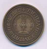 Tóth Sándor (1933-2019) DN "SIGILLUM CIVITATIS MISKOLCZ " kétoldalas bronz emlékérem, hátoldalon a diósgyőri vár (42,5mm) T:AU