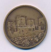 Tóth Sándor (1933-2019) DN "SIGILLUM CIVITATIS MISKOLCZ " kétoldalas bronz emlékérem, háto...