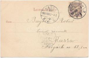 1900 Jegenye, Leghia (Kolozs); Jegenye fürdő, kastély, villa. Dunky Fivérek cs. és kir. udvari fényk...