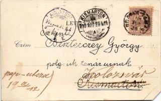 1900 Jobaháza, anyatehén a hármas iker fiaival. Krausz Samu kiadása (Farád) (b)