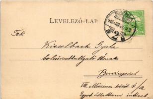 1913 Kassa, Kosice; Barkóczy utca, kiadja Vitéz A. A levél címzettje Kieselbach Gyula (1891-1972) / ...