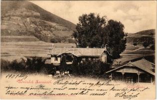 1901 Kassa, Kosice; Lajos forrás. Vitéz A. kiadása / spring (EK)