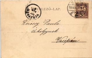 1901 Kassa, Kosice; Lajos forrás. Vitéz A. kiadása / spring (EK)