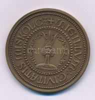 Tóth Sándor (1933-2019) "SIGILLUM CIVITATIS MISKOLCZ" kétoldalas bronz emlékérem (42,5mm) T:AU