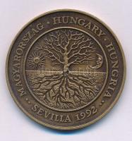 Lebó Ferenc (1960-) 1992. "Magyarország - Hungary - Hungria - Sevilla 1992 / En - Europa - Para - Europa - Európában, Európáért" kétoldalas bronz emlékérem kapszulában (42,5mm) T:AU