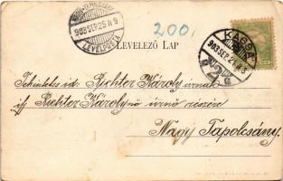 1903 Kassa, Kosice; Rákóczi ereklyekiállítási palota zászlókkal. Nyulászi Béla kiadása / palace of t...