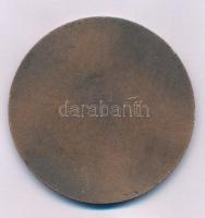 Cyránszki Mária (1940-2018) 1975. "Dunaújváros 1950-1975" egyoldalas bronzozott Al emlékér...