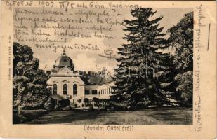 1903 Gödöllő, Királyi kastély. Divald Károly 225. (felületi sérülés / surface damage)