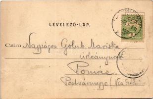 1903 Gödöllő, Királyi kastély. Divald Károly 225. (felületi sérülés / surface damage)