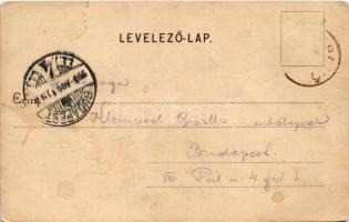 1903 Gödöllő, Részlet a felső parkból. Divald Károly (kis szakadás / small tear)