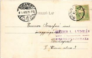 1904 Gödöllő, Királyi kastély. Divald Károly 445. sz. (EK)