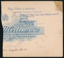 1902 Köpe (Keöpe) Viktor író és családja, keményhátú fotó hátoldalon feliratozva, vágott, felületi s...